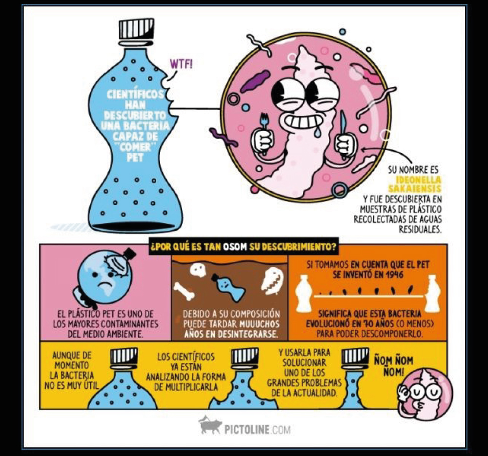 Cantidades de basura principalmente plastico