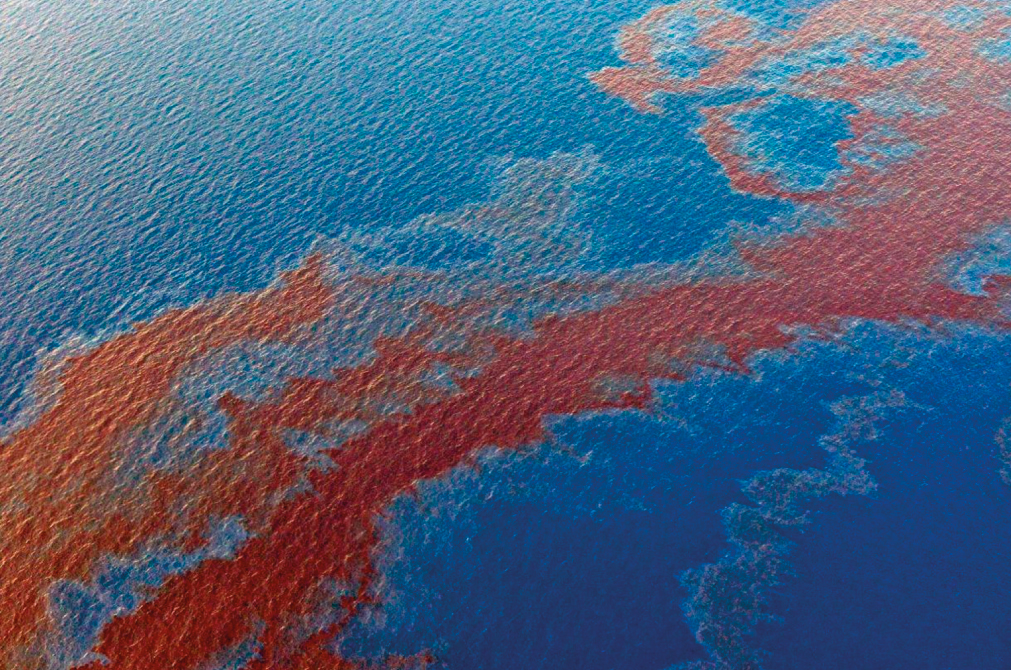 Derrame de petroleo en el golfo de m�xico