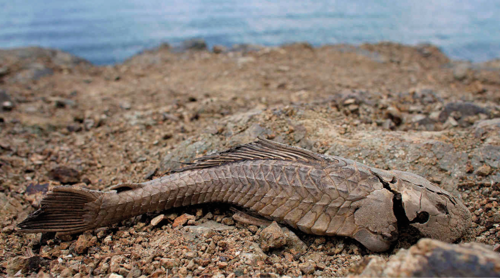 El agua se est� terminando