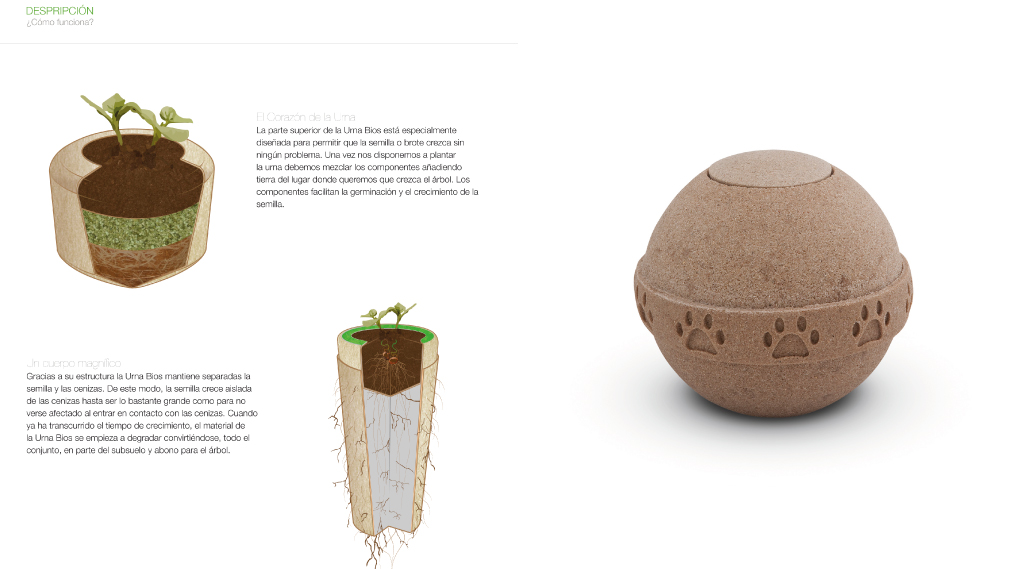 Materiales bioplásticos