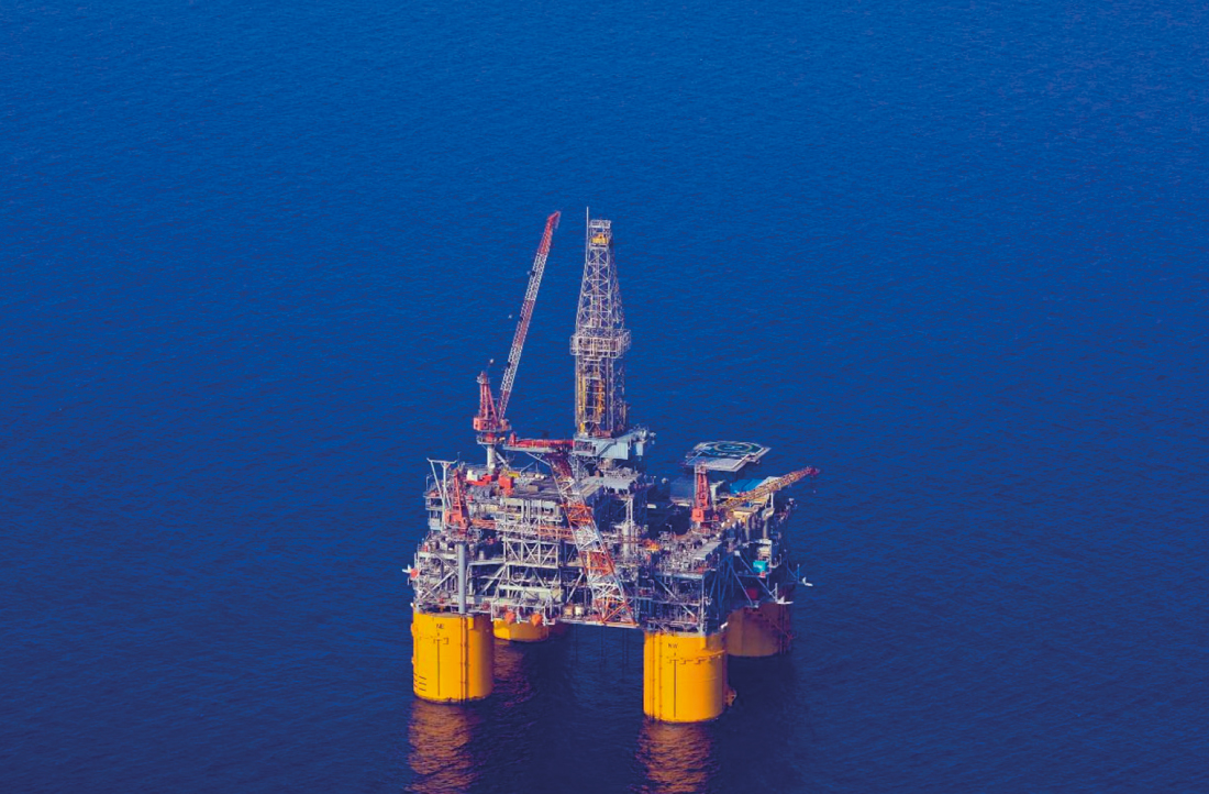 Vaquita marina en el golfo de california