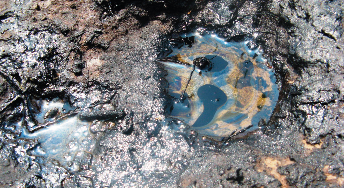 Contaminaci�n por metales pesados