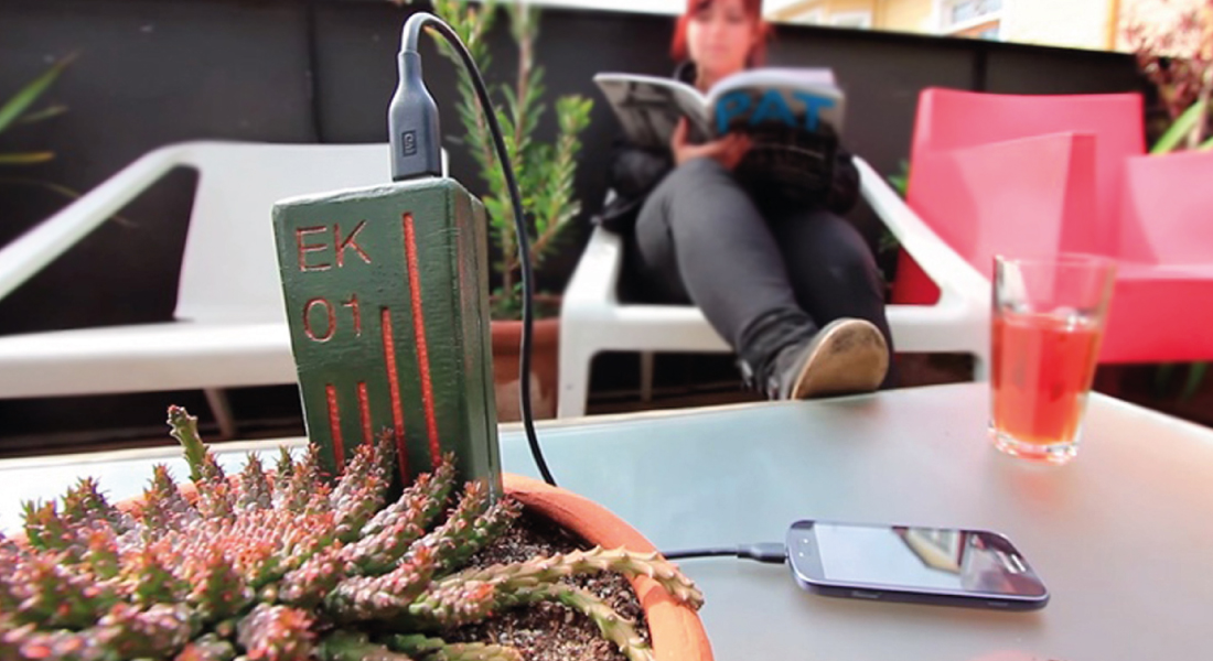 Planta que recarga tu celular