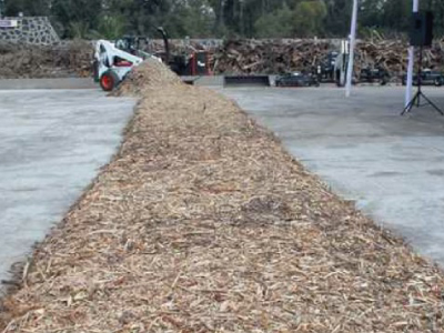 Combustible sin petr�leo